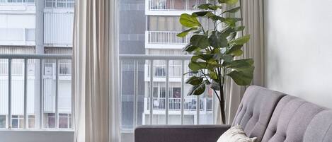 A modern living room with a grey sofa, a potted plant, and a view of a residential building through sheer curtains.