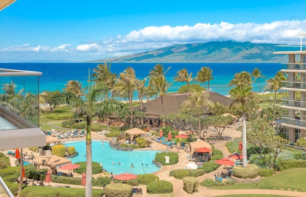 A resort with a swimming pool, palm trees, and a view of the ocean.
