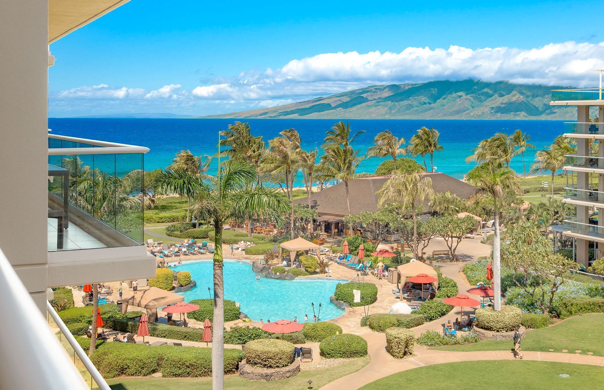 A resort with a swimming pool, palm trees, and a view of the ocean.