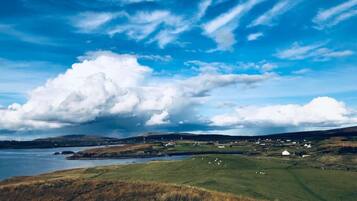 1 bedroom, desk, free WiFi, bed sheets