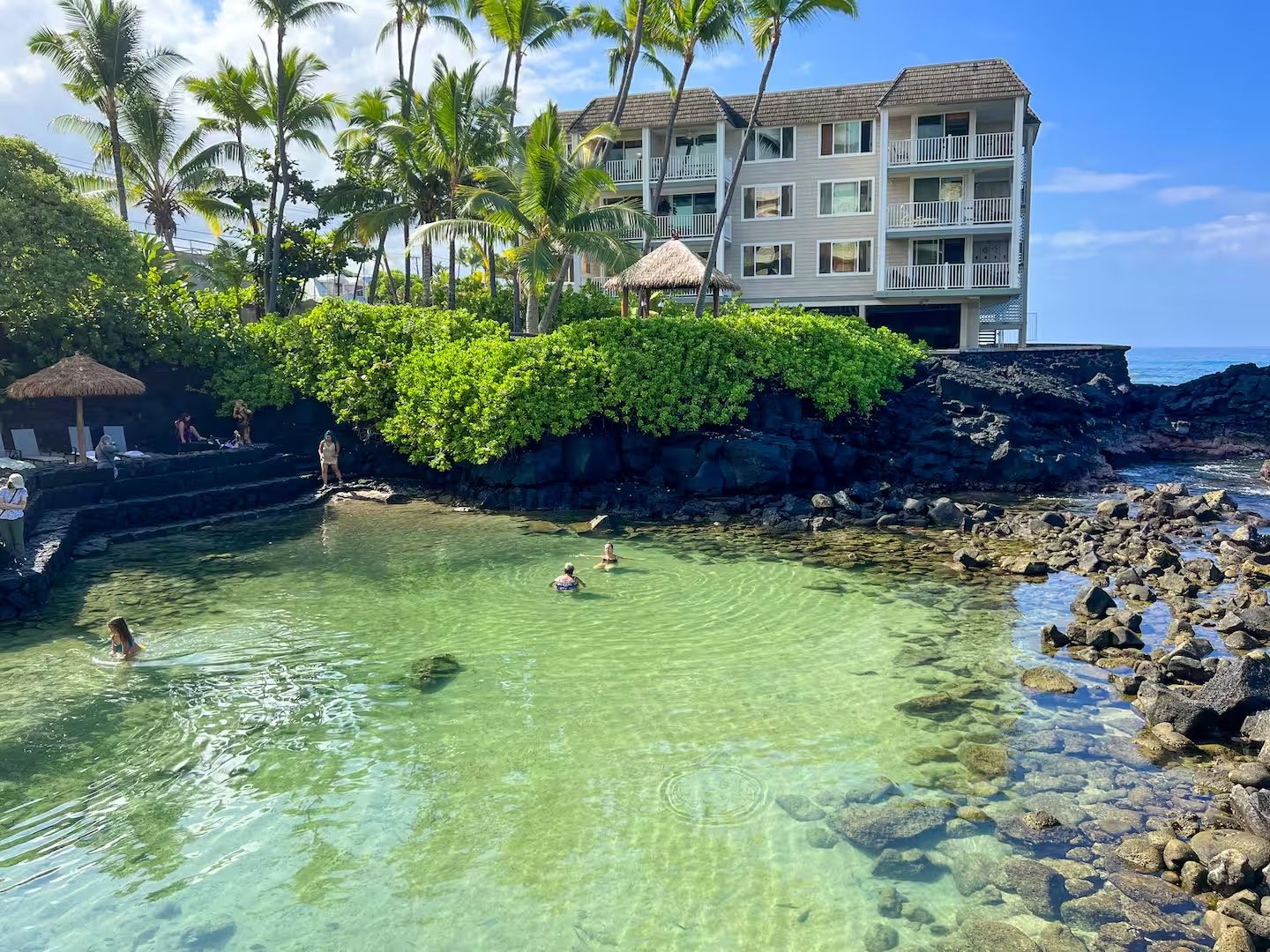 A clear pool with rocks, palm trees, and a building with balconies.