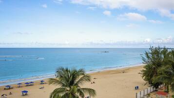 Vista desde la propiedad