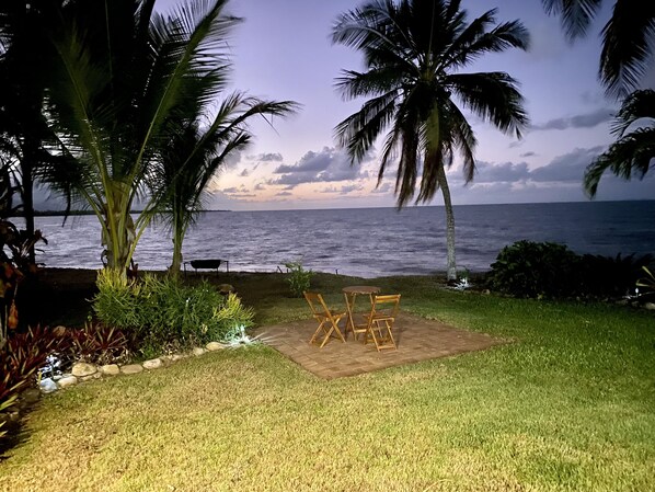 A grassy area with a wooden bench and a table, palm trees, and a view of the ocean. - Absolute Beachfront (Toolakea)