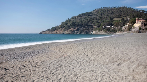 A beach with a pebble shore, a hill with trees and buildings, and clear blue sky. - Apartment 'Piter' with Private Terrace (Bonassola)