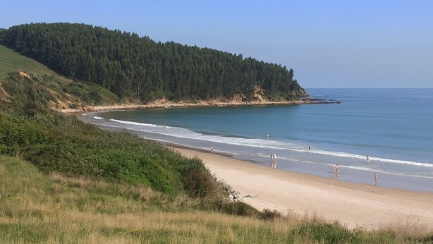 Un paisaje costero con playa, colina arbolada y océano.