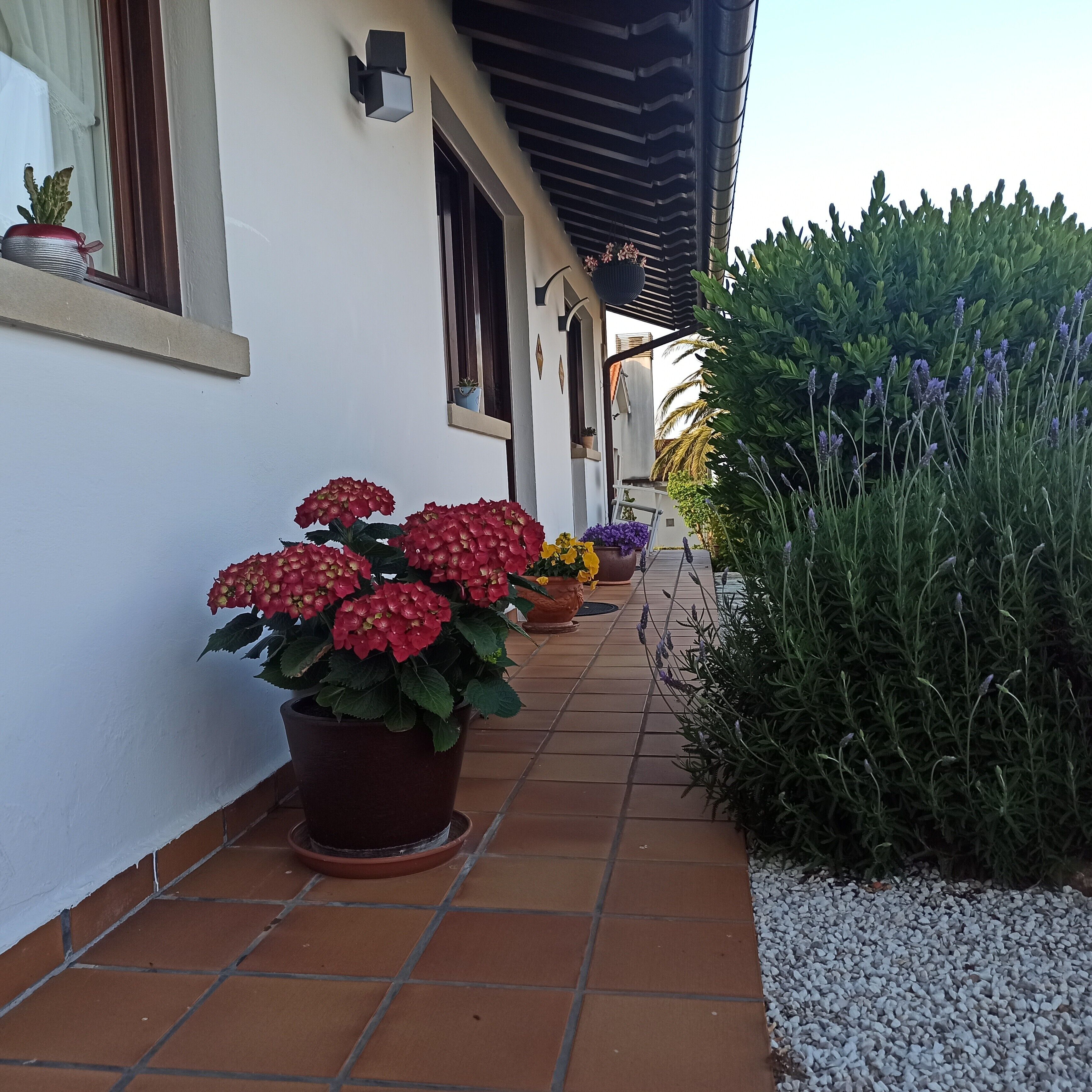 Detalle exterior