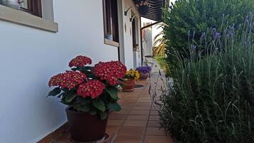 Detalle exterior