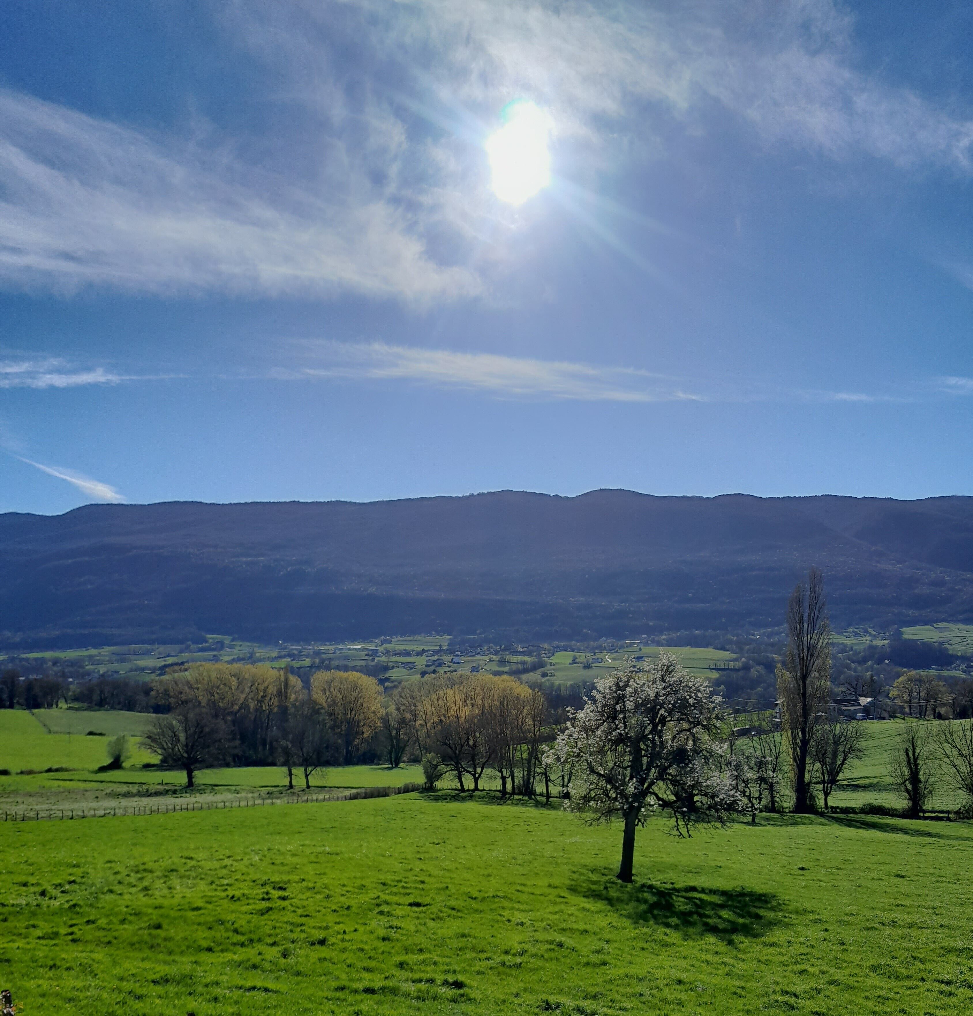 A rural landscape with green fields, a clear sky, and distant mountains.
