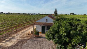 A vineyard with rows of grapevines, a small white building with a red roof, and a large tree in the foreground. - Casa Trincadeira – Retreat with Private Jacuzzi Among Vineyards and Views of Palmela Castle (Palmela)