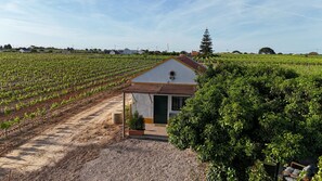 Exterior - Casa Trincadeira – Retreat with Private Jacuzzi Among Vineyards and Views of Palmela Castle (Palmela)