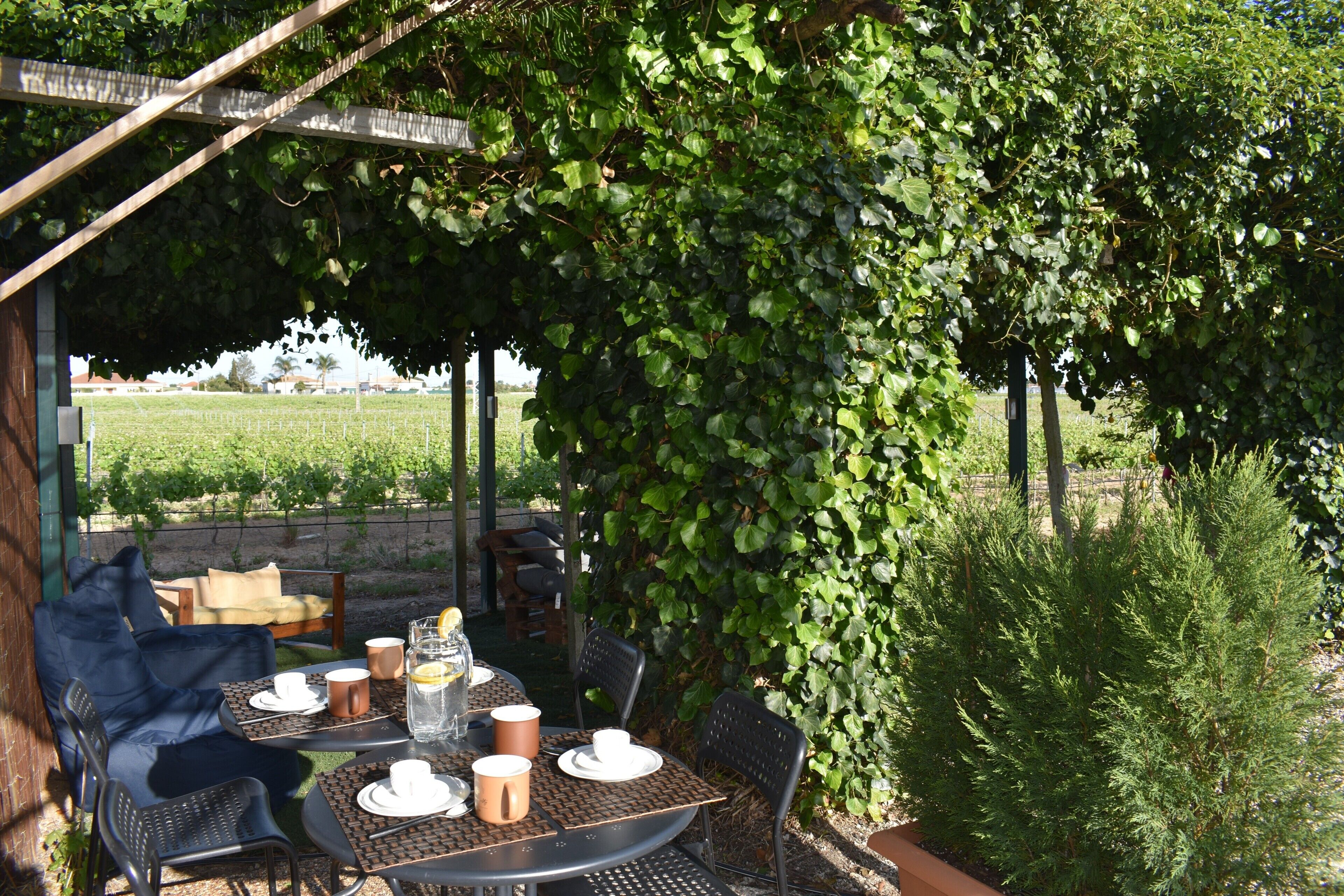 An outdoor patio with a table set for two, surrounded by chairs, under a pergola with climbing vines.