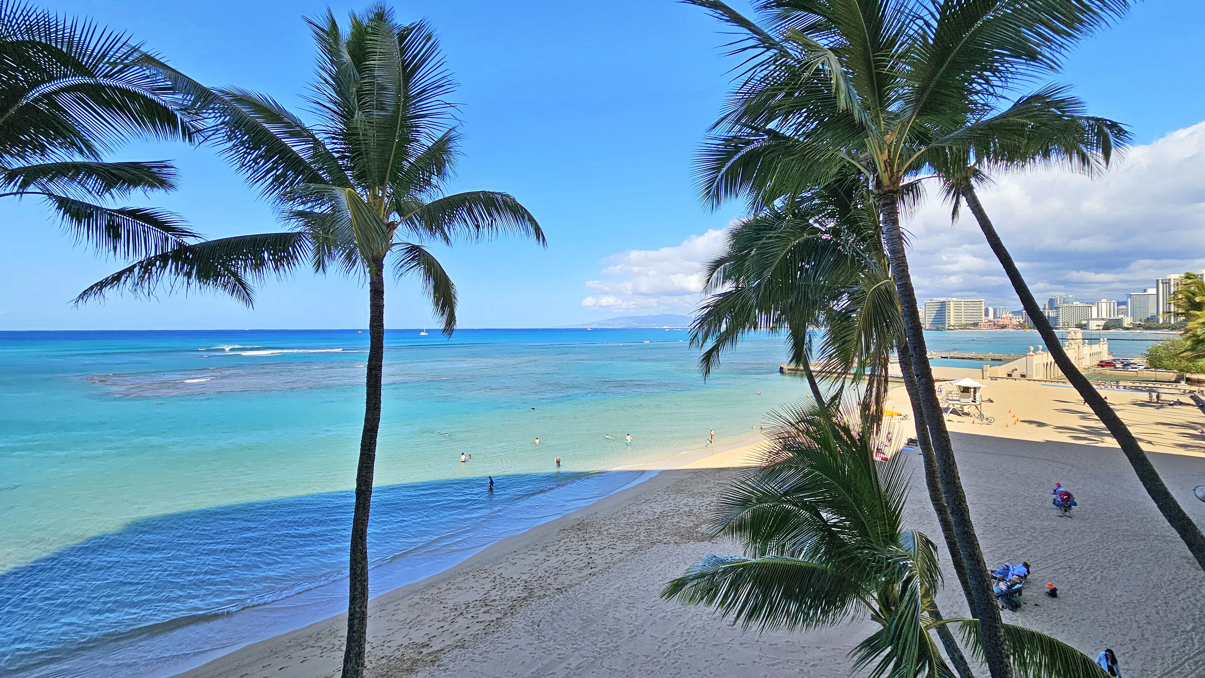A beach with palm trees, clear blue water, and a city skyline in the background.