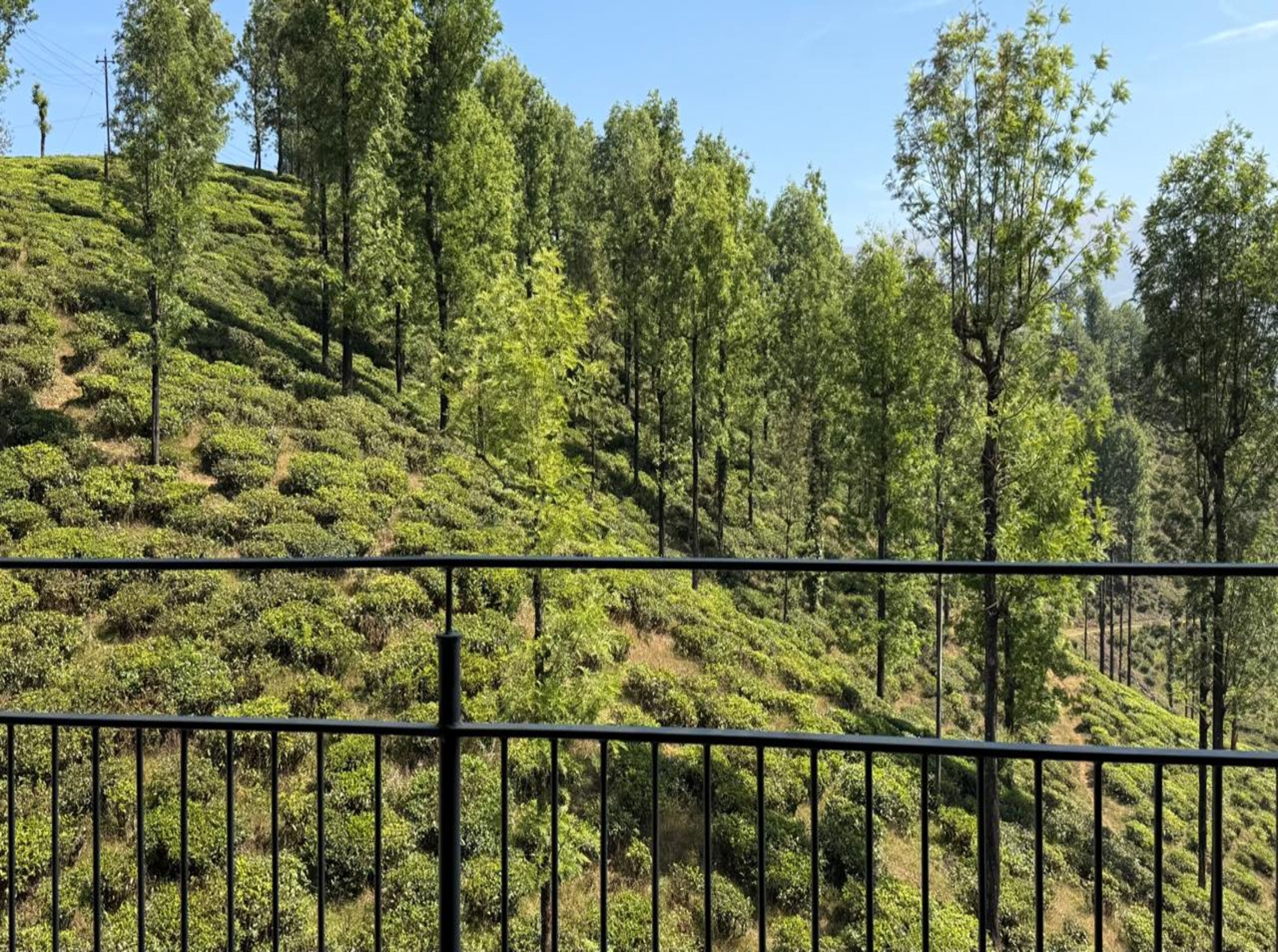 Chambre Double Deluxe | Vue sur les montagnes