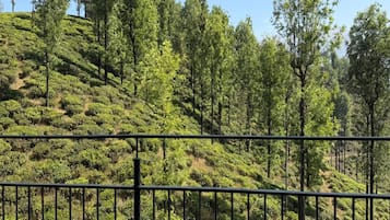 Chambre Double Deluxe | Vue sur les montagnes