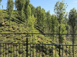 Deluxe Double Room | Mountain view - WINTEL WILD (Valparai)