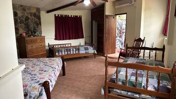 4 slaapkamers, een strijkplank/strijkijzer, gratis wifi, beddengoed