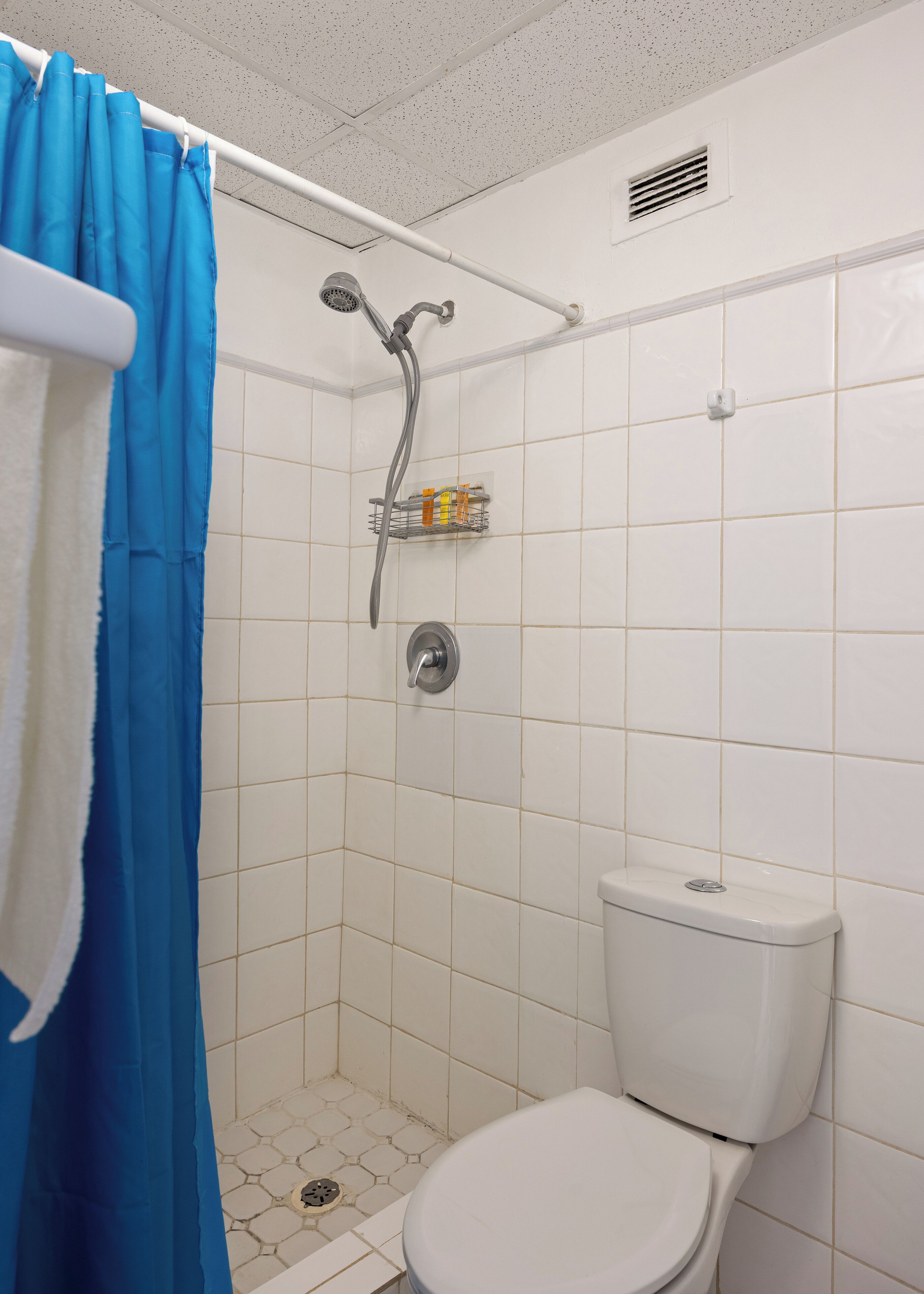 A small bathroom with a shower, toilet, and a shelf with toiletries.