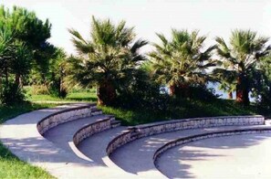 A curved pathway with palm trees and greenery.
