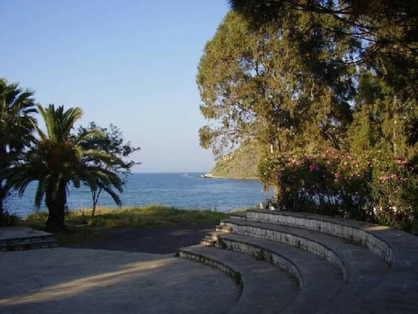 A coastal pathway with steps leading to a beach, surrounded by trees and a palm tree.