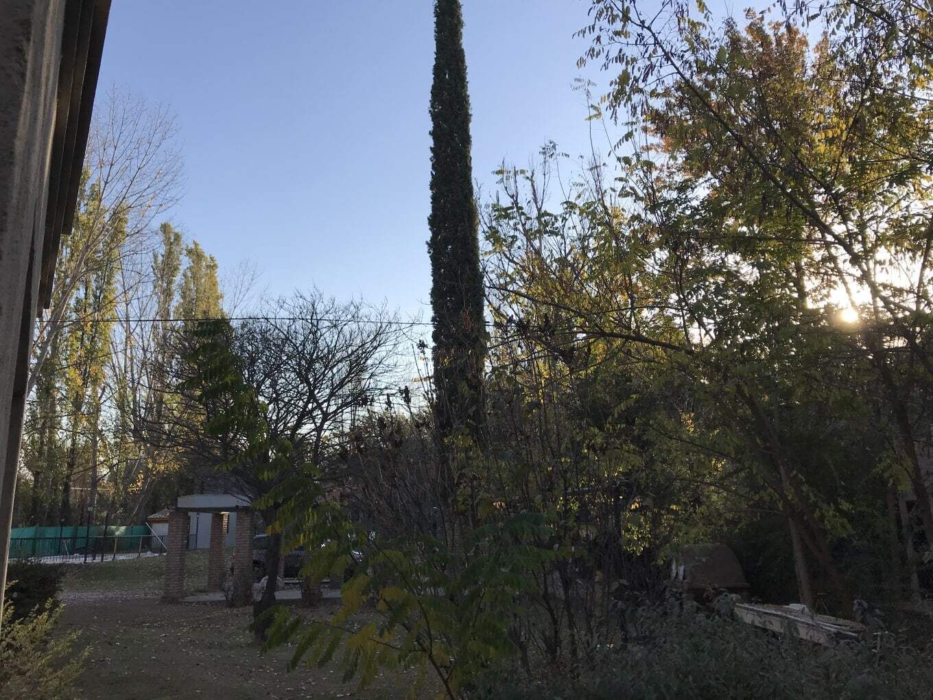 Un jardín con diversos árboles, una pequeña construcción de ladrillo y un sendero.