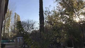Un jardín con diversos árboles, una pequeña construcción de ladrillo y un sendero.