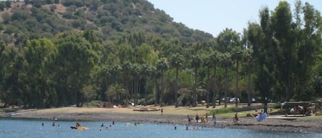A beach with people swimming and kayaking, surrounded by trees and hills.