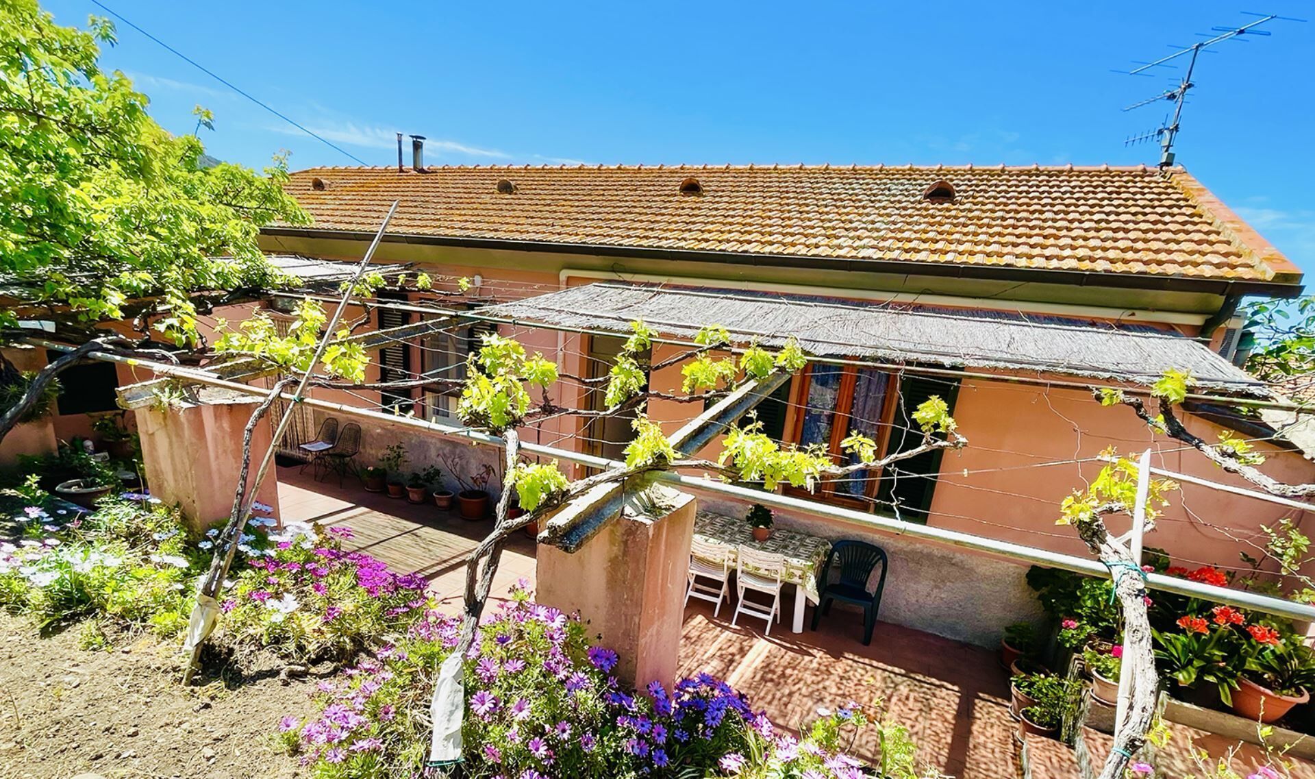 A house with a tiled roof, a garden with flowering plants, and a pergola with climbing plants.