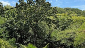 Un balcon doté d’un barbecue, offrant une vue sur un paysage verdoyant et luxuriant, avec des arbres et un ciel bleu dégagé.