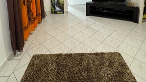 Un salon avec un ventilateur de plafond, un téléviseur, une porte et un tapis à motifs.