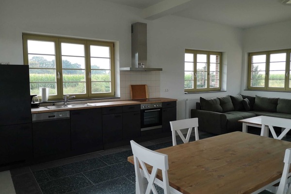 Wohnbereich mit Küche, Essecke und Sitzlandschaft