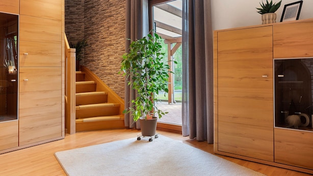 Un interior moderno con una escalera de madera, una planta grande en maceta y una pared de piedra.