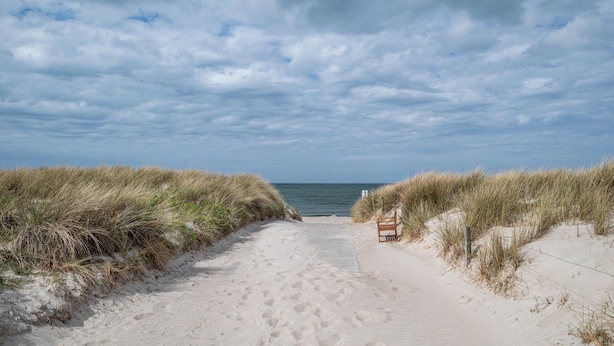 Un sentiero sabbioso che conduce al mare, fiancheggiato da dune e con una panchina.
