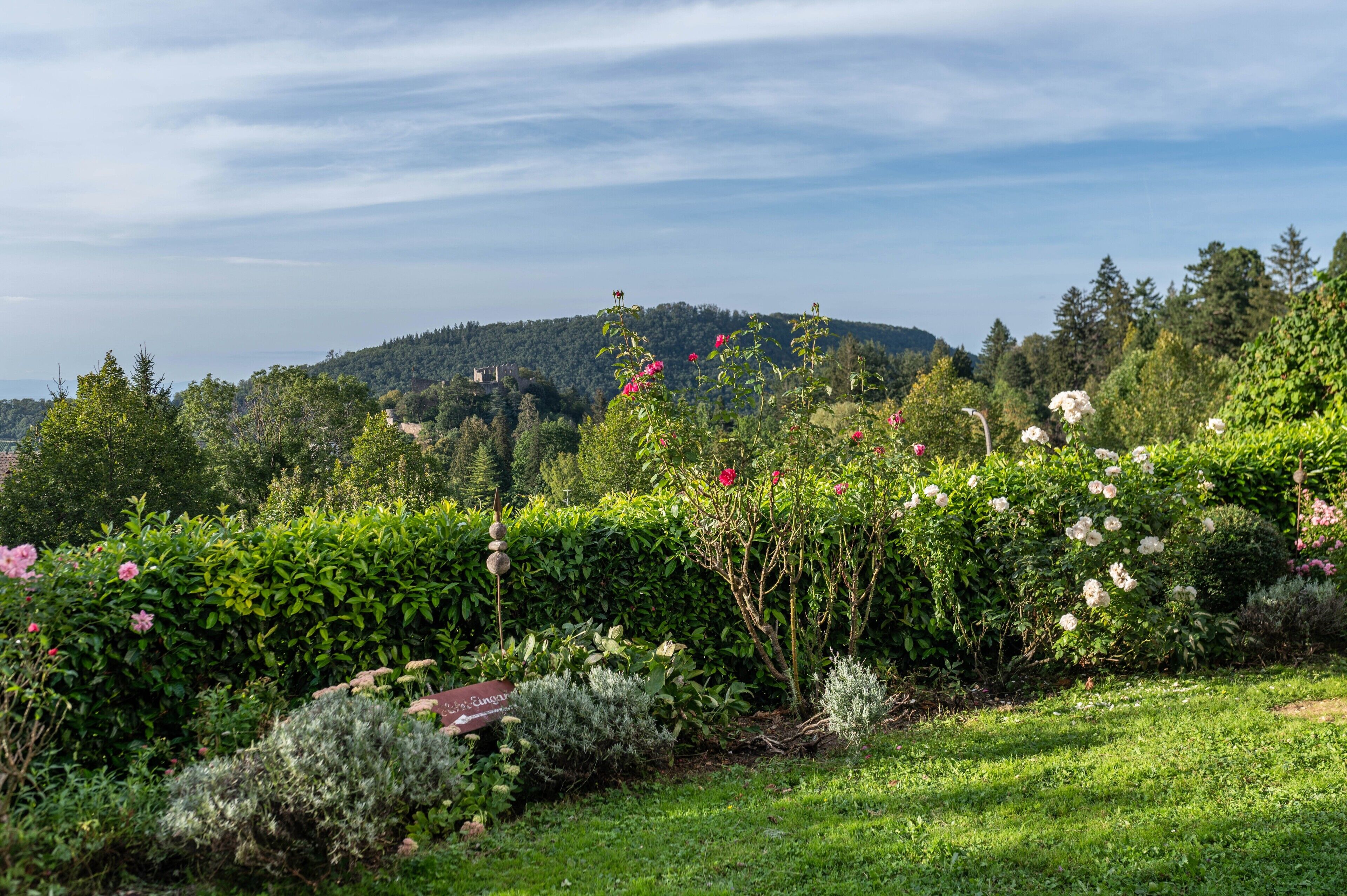 Áreas de la propiedad