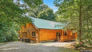 A log cabin with a metal roof, surrounded by trees.