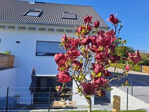 Uma casa moderna com telhado de cerâmica, uma janela visível e uma árvore com flores vermelhas em primeiro plano.