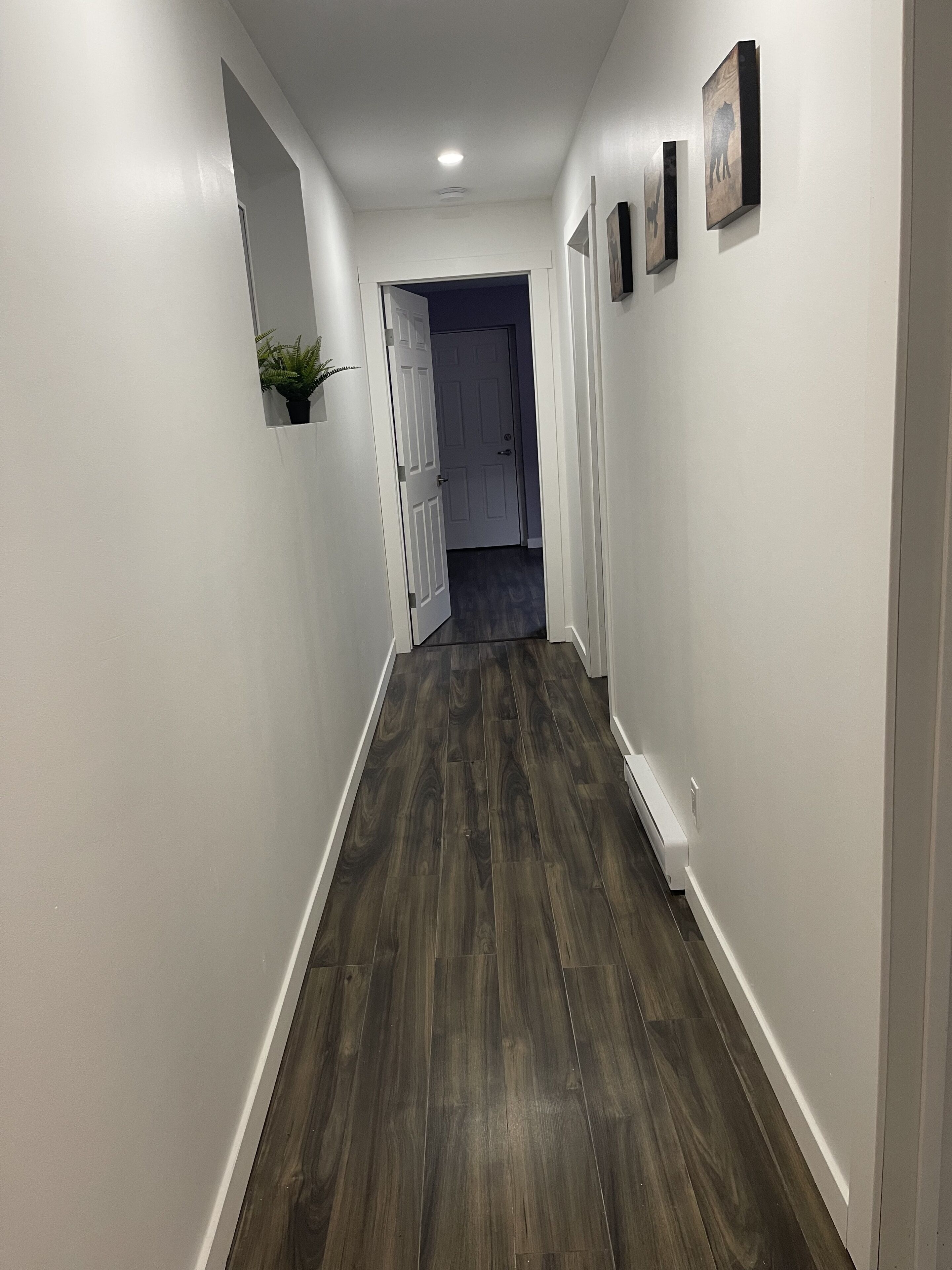 Un couloir avec un plancher en bois foncé, des murs blancs et une porte au fond.