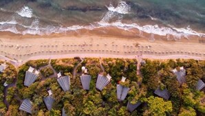 An aerial view of a beach with rows of umbrellas and beach chairs, a pathway, and a dense area of trees in the foreground. - Villetta Large Morellino 6 pax (Piombino)