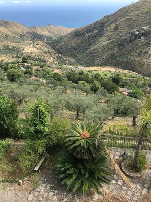 Nicht klassifiziertes Bild, 4 von 62, Schaltfläche