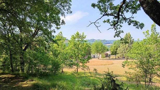 Paisagem rural com árvores, um edifício de pedra e um campo.