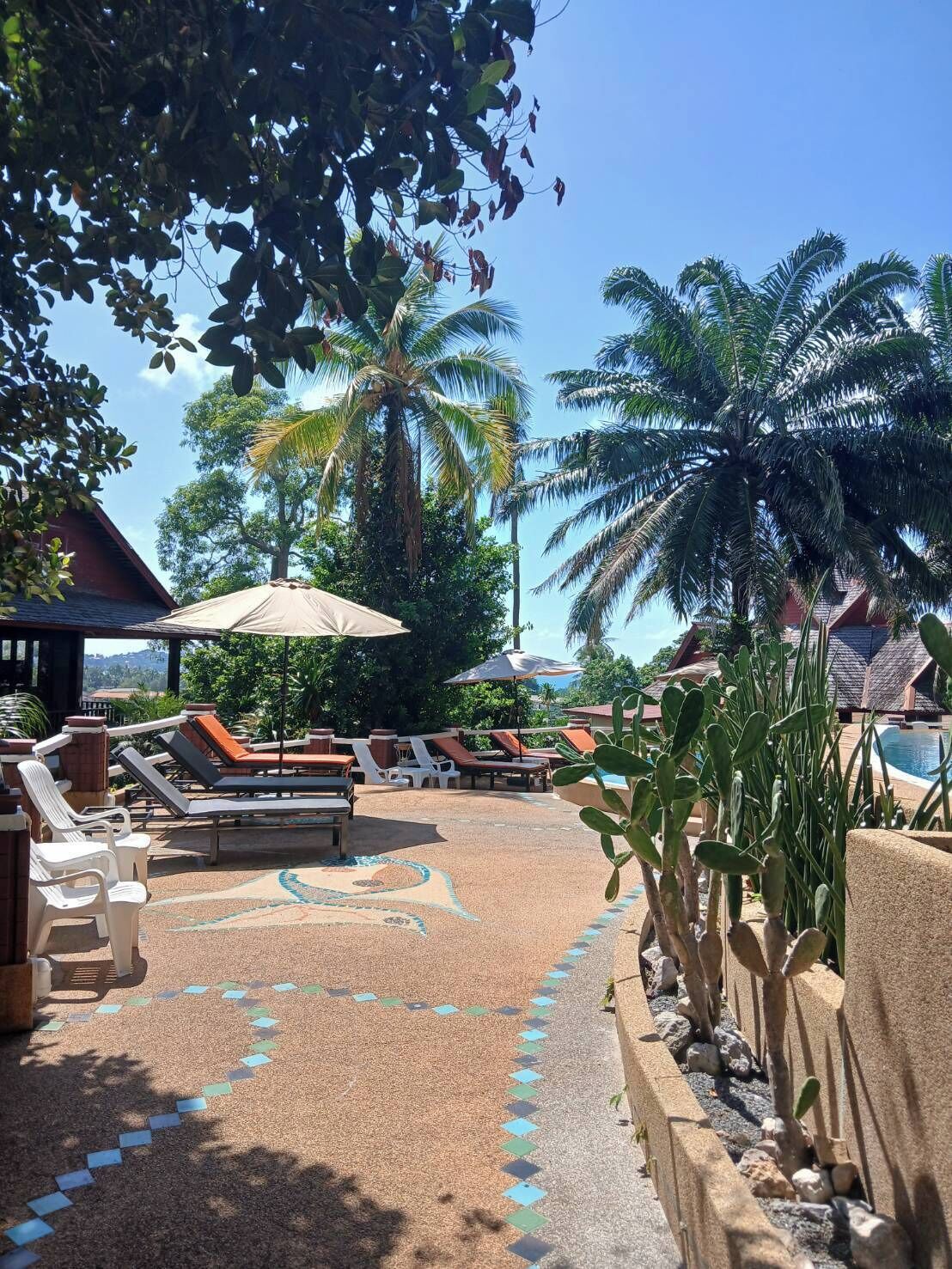Zwembadterras met ligbedden en parasols, omgeven door palmbomen en een heldere lucht.