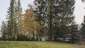 Leilighet