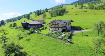 Chalet in Taxenbach near Kaprun Ski Area