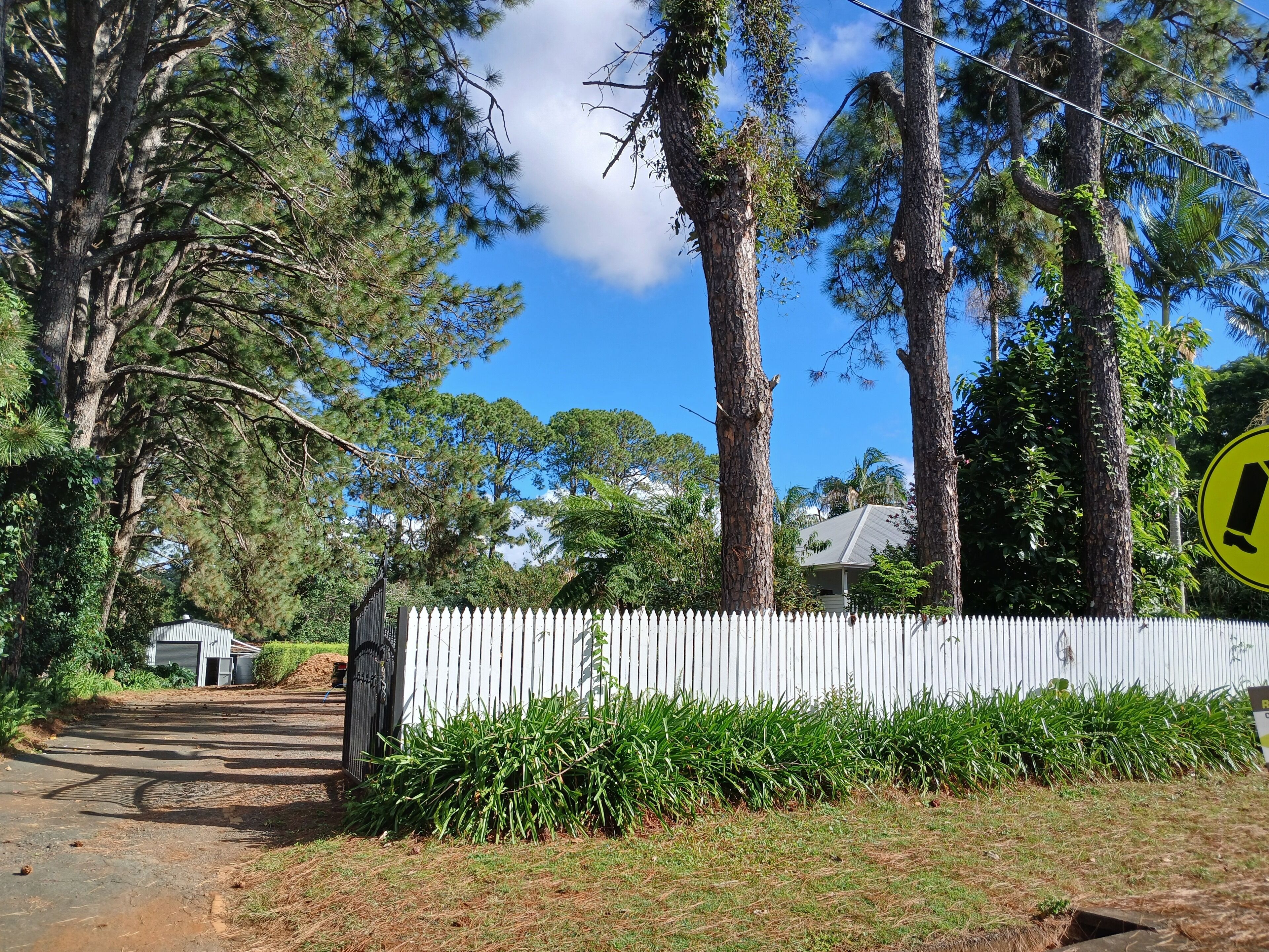 A residential area with tall trees, a white picket fence, and a road leading to a house.