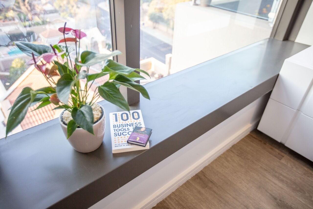En krukväxt och en bok med titeln ”100 verktyg för företagare – för att lyckas” står på en fönsterbräda.