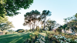Un jardín con un camino de piedra, árboles y flores blancas.