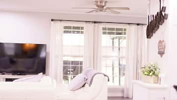 Smart TV, fireplace, books