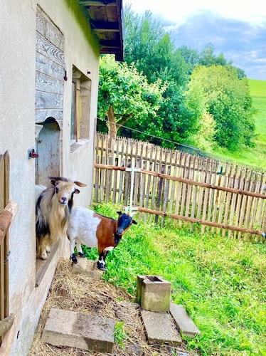 Urlaub bei Freunden im Elbsandsteingebirge