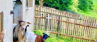 Urlaub bei Freunden im Elbsandsteingebirge