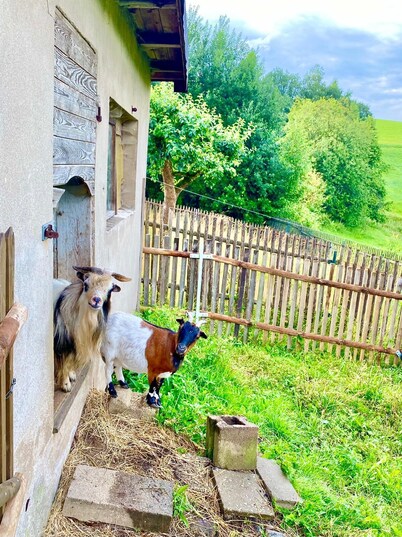 Urlaub bei Freunden im Elbsandsteingebirge