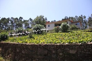 Stroll through the beautifully maintained garden, surrounded by vibrant flowers and lush greenery, with a charming two-story building in the background.
